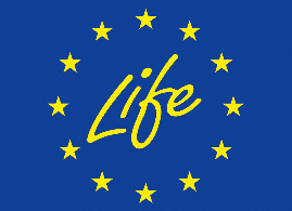 Life Profile